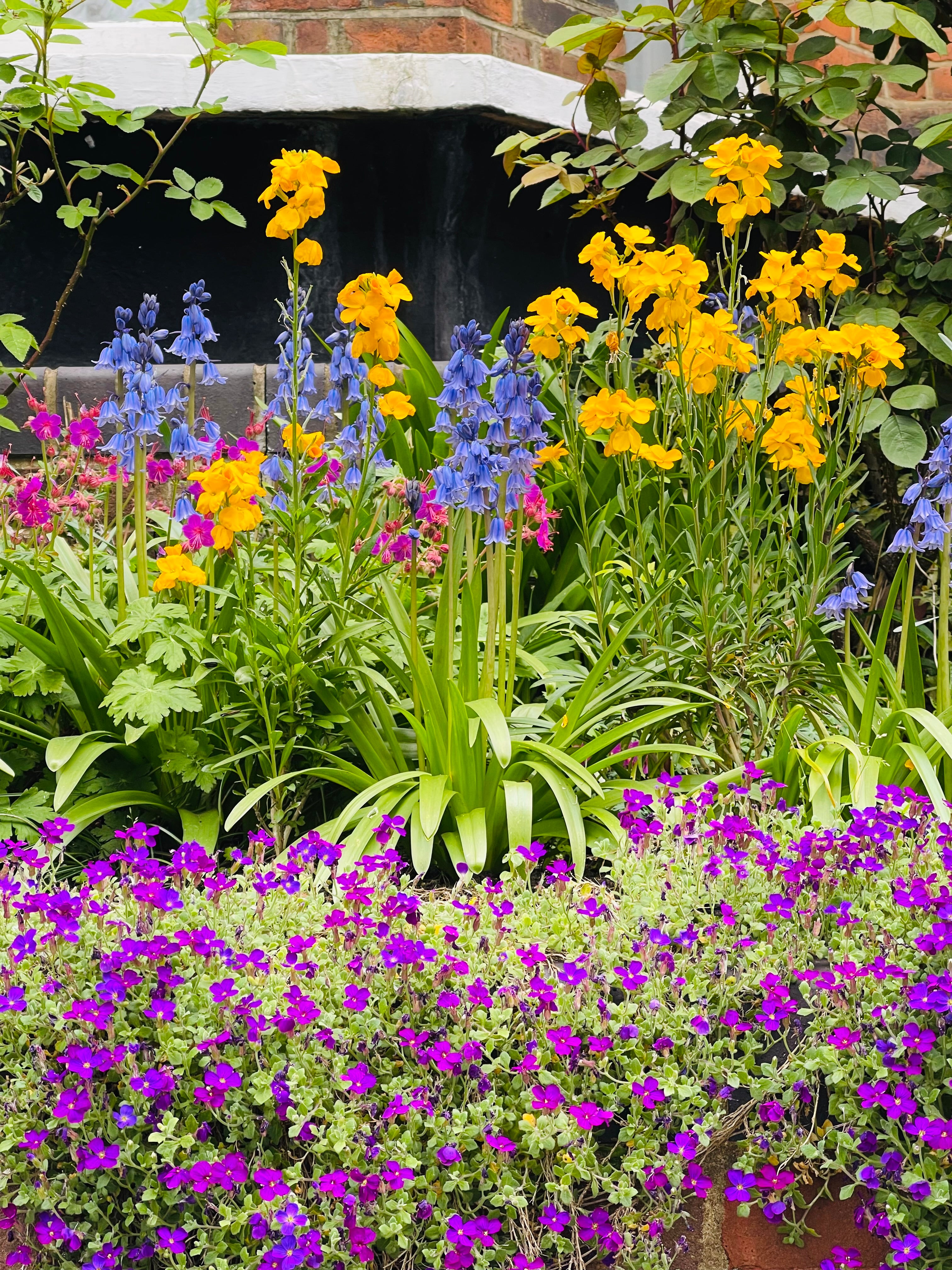 Floriography 🌸 the meaning of flowers