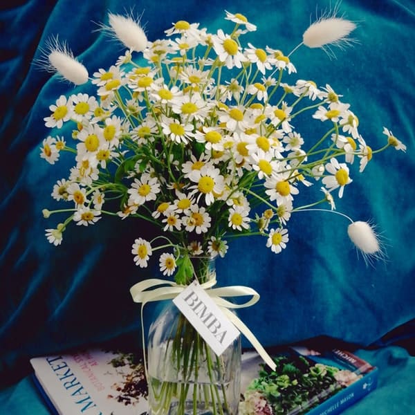 matilda-flowers-bimba-4