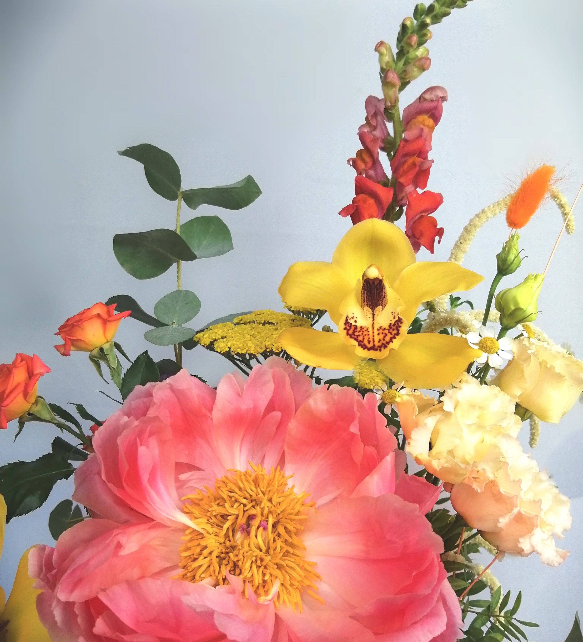 Lovely and happy! Summery flower arrangement in orange, coral and cream tones, featuring, double lisi, Amaranthus, orange roses, dancer Caribbean orchids, snapdragon, bunny tails and our star of the season Peony 'coral charm' abundant, nostalgic, large, elegant glossy coral-cream coloured, semi-double flowers with a slight fragrance as they mature. Just beautiful!! This flower bouquet is available for same day delivery and next day delivery at our floral studio at Highgate ( North London Flowers ).