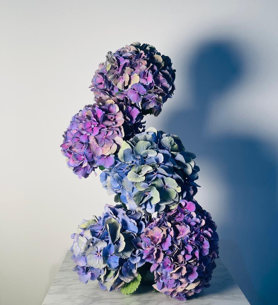 FLOWER CLOUD