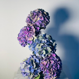 FLOWER CLOUD