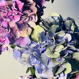 FLOWER CLOUD