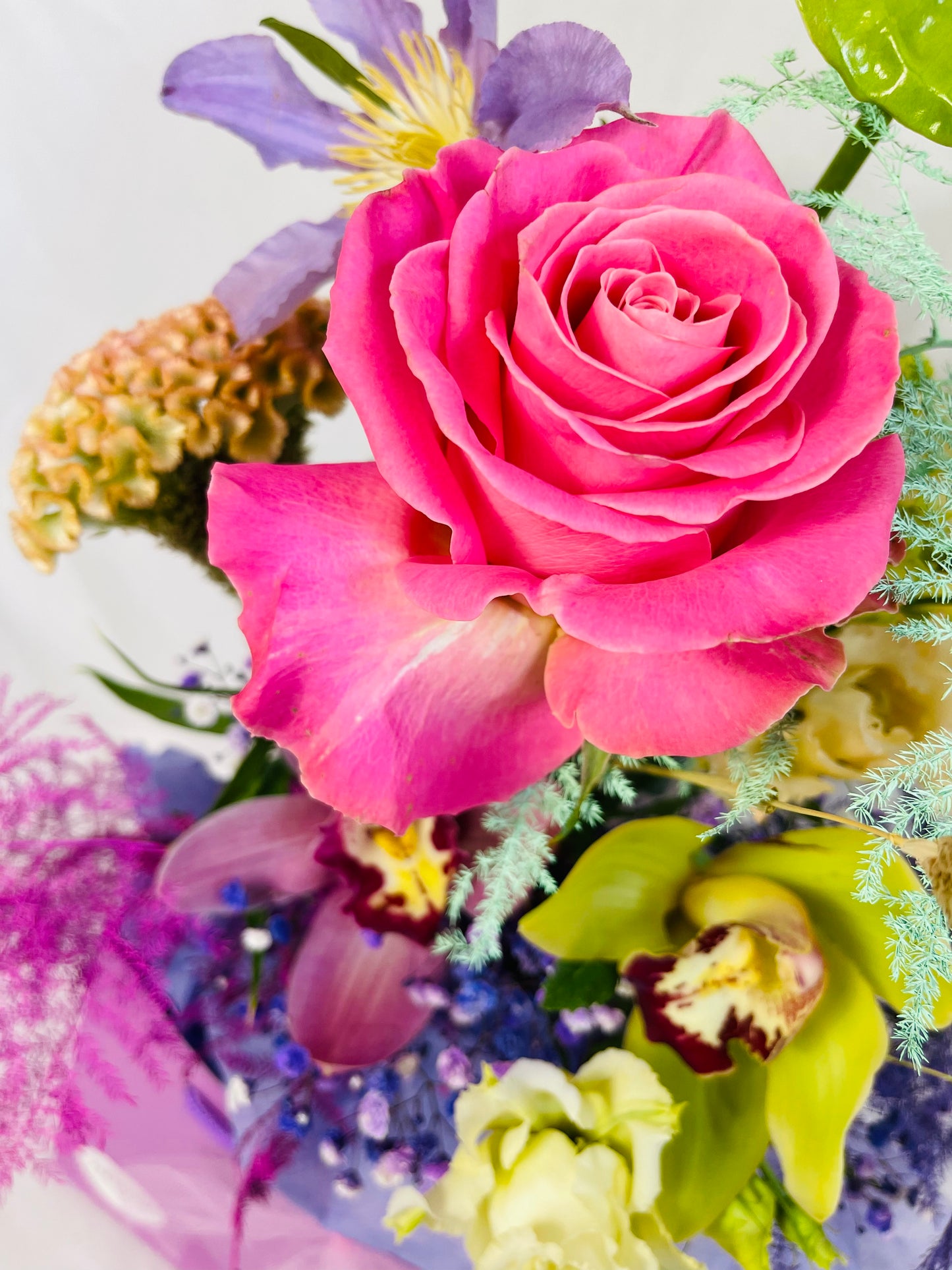 Lucky bouquet  is a blissful flower arrangement featuring Caribbean Anthurium ,french clematis, sweet scented rose, exotic orchids, rainbow gypsophila, blush lisianthus, agapanthus, stunning celosia and painted asparagus fern in bright colours. By Bimba Floral Studio.